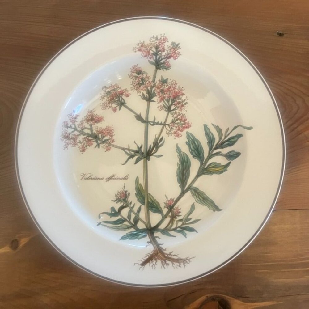 Villeroy & Boch Botanica Valeriana 8 1/2" Rim Soup Bowls Set Of 2 W/Root Cottage
